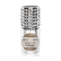 Cat Eye Polish | ICE CHAMPAGNE