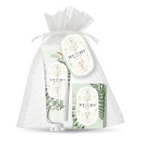 HAND CREAM & SOAP | WELLNESS